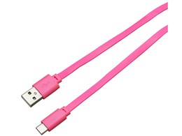 BUSACF100PK [1m �s���N]