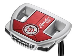 Spider MINI DIAMOND SILVER �p�^�[ [33�C���`]