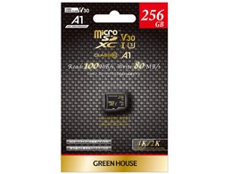 GH-SDM-ZA256G [256GB]