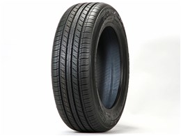 RALEIGH R06 225/65R17 102H