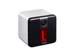 Petcube Play PP211NV5L-MS [Matt Silver]