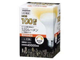レフ電球 100wの人気商品・通販・価格比較 - 価格.com