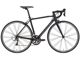 SCULTURA 100 2019Nf [MATT BLACK]