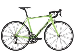 SCULTURA 100 2019Nf [GREEN]