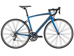 RIDE 80 2019Nf [METALLIC BLUE/BLACK]