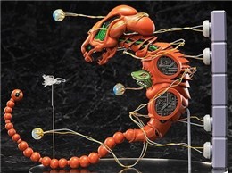 figma R-TYPE �h�u�P���h�v�X