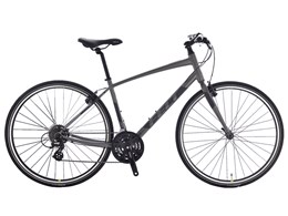Verza Speed 50 2019Nf [}bg`R[]