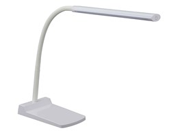 DS-LS24-W [zCg]