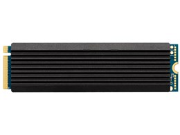 CSSD-M2B01TPG2VN
