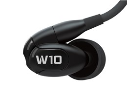 WST-W10-2019