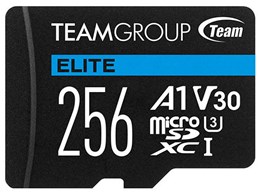 TEAUSDX256GIV30A103 [256GB]