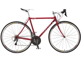 CLUB 1000 2019Nf [Candy Red2]