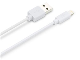 PG-ELC05M22WH [�z���C�g]