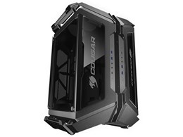 GEMINI X