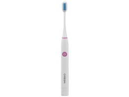 CAREISM LDB-100PK [sN]