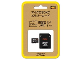 FDXQZ DDMS256G02 [256GB]
