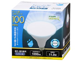 LDR11D-W/P100 [F]