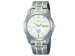 SGG733P1 [�C�O���f��]