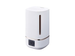 Pieria WKD-11940-WH [zCg]