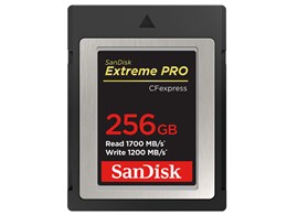 SDCFE-256G-JN4IN [256GB]