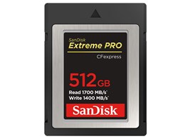 SDCFE-512G-JN4IN [512GB]