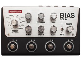 BIAS DELAY PROFESSIONAL