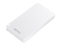 SSD-PGM1.9U3-W [zCg]