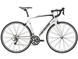 RIDE 80 2020Nf [GROSS WHITE]