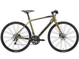 GRAN SPEED 300-D 2020Nf [SHINY GOLD]