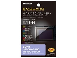 EXGF-SA6600