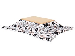 ynd-004-2-set-na-fl [i`×t[ES[h]
