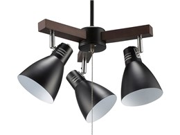 LT-YY30AW-K [�u���b�N]