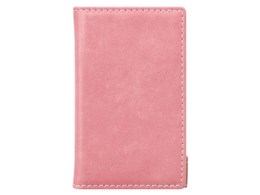 PG-WA100FP2PK [_XeBsN]