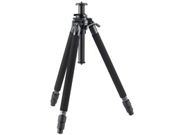 Professional Geo N730