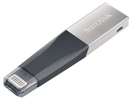 iXpand Mini Flash Drive SDIX40N-064G-GN6NN [64GB]