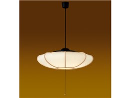 LEDP81006PL-LD