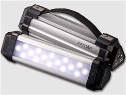 FLED[NCg ECL-WL250NS-L3A [Vo[]