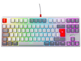 K4 TKL RGB RETRO Ԏ [g]