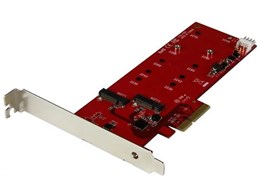 PEX2M2 [M.2]