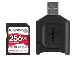 MLPR2/256GB [256GB]