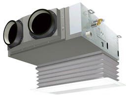 FIVE STAR ZEAS V䖄JZbg` SSRB80BFTD