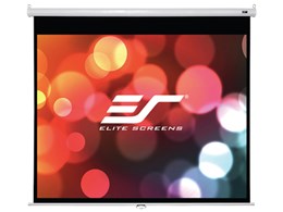 M113NWS1-SRM [113C` }bNXzCg zCg]