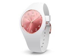 ICE Sunset �u���b�V �X���[�� 015744