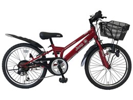 JE-20S 2020Nf [RED]