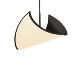 OLED BIRD EELM-BIRD500BA-L