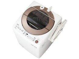 Ȃ ES-GV10E
