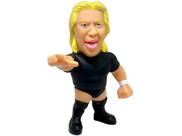 WFh}X^[Y 16d\trRNV012 RPA