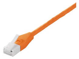 BL6TNY10OR [1m �I�����W]