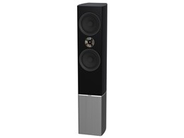 Tannoy Platinum F6 B [ubN Pi]
