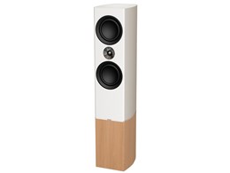 Tannoy Platinum F6 W [zCg Pi]